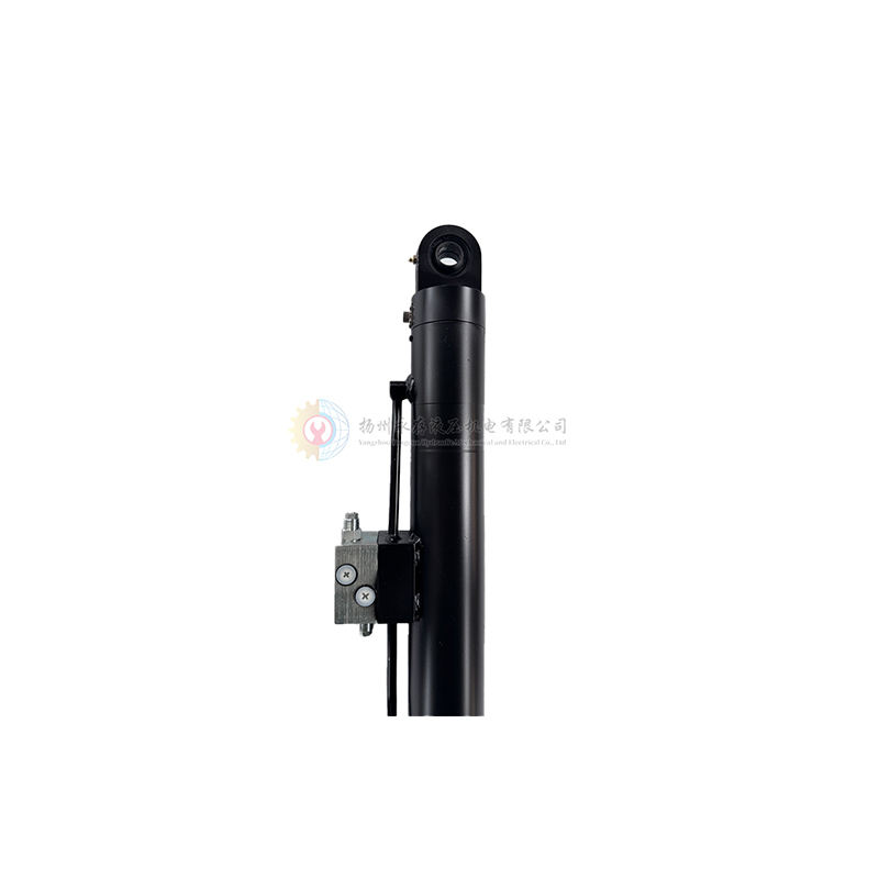 Manufacturer of Direct Custom High Stability Hard Chrome Plated Steel Single Acting Oil Cylinder with 1 Year Warranty