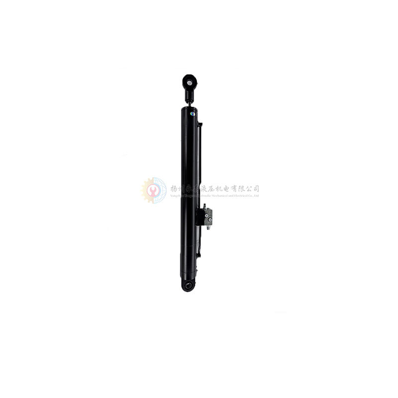 Manufacturer of Direct Custom High Stability Hard Chrome Plated Steel Single Acting Oil Cylinder with 1 Year Warranty